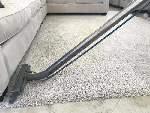 Carpet deep cleaning in New Jersey: the best method for healthier, longer-lasting commercial carpets